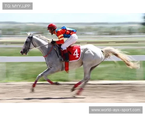 最精彩瞬间：赛场上那些令人难忘的片段！，赛场上精彩的瞬间的作文
